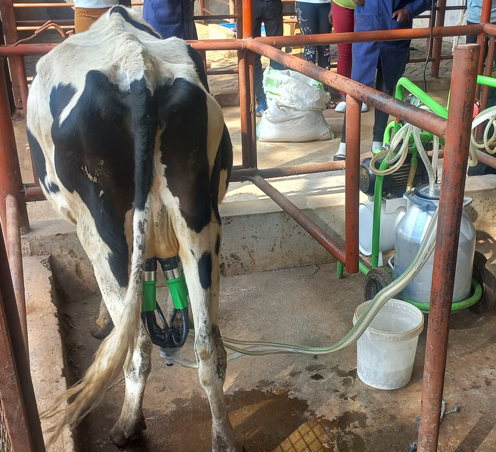 Empowerment Workshops